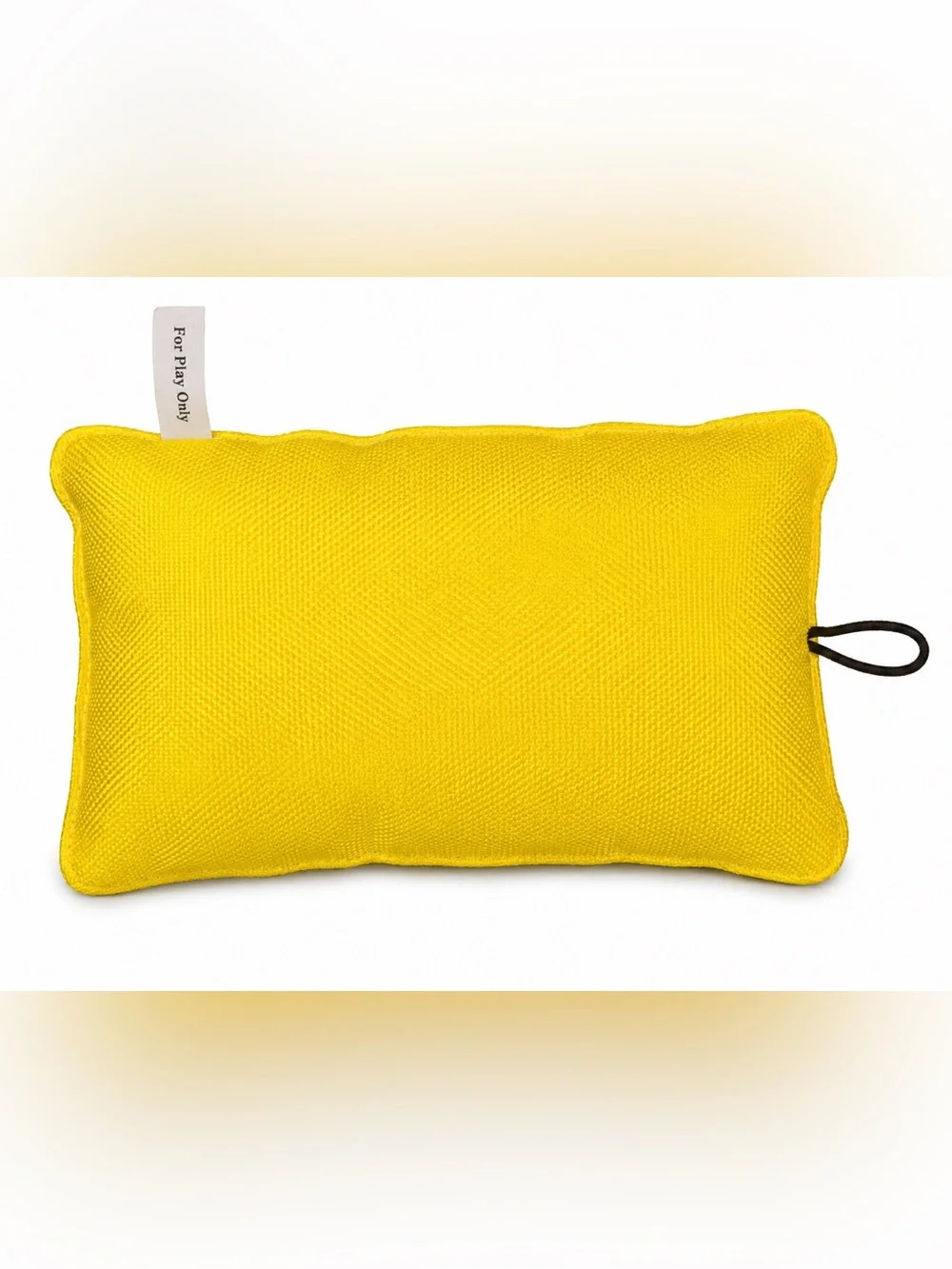 NEW SPOT Fun Food “Sour Pooch” Dog Toy | Plush Squeaky